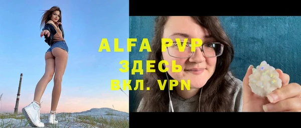 стаф Аркадак