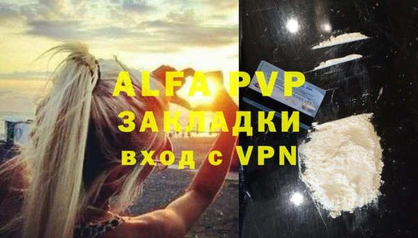 стаф Аркадак