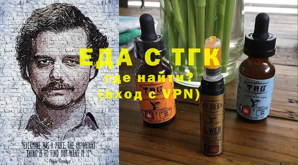стаф Аркадак