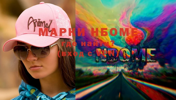 стаф Аркадак