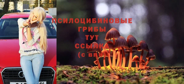 apvp Армянск